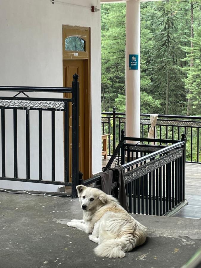 Wabi Sabi Riverside Hostel Kasol Exteriér fotografie